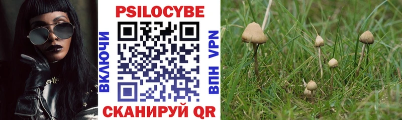 Галлюциногенные грибы MAGIC MUSHROOMS  магазин продажи наркотиков  Юрга 